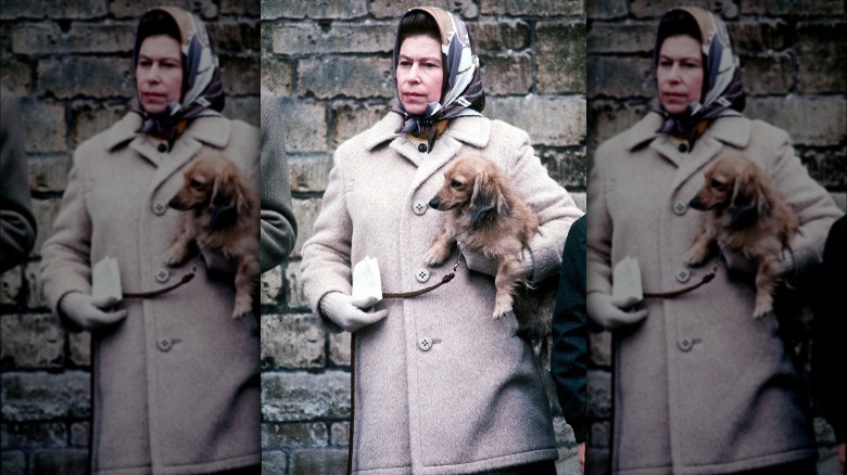 Queen Elizabeth II with a dog in 1976