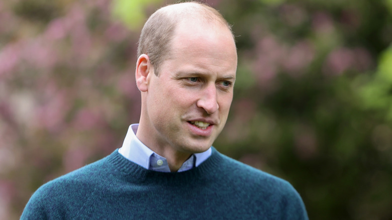 Prince William sweater