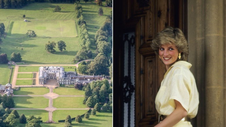 Althorp House Princess Diana smile