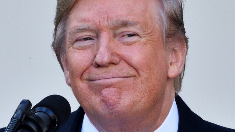 Donald Trump smiling