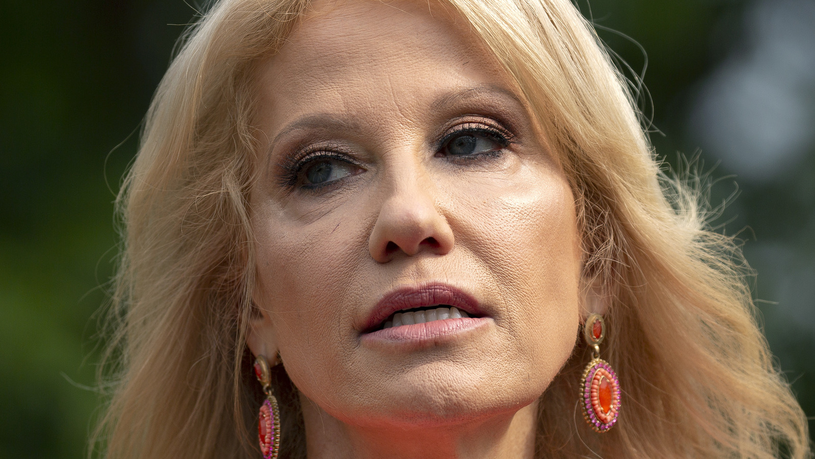 What Kellyanne Conway Is Up To Now 0240