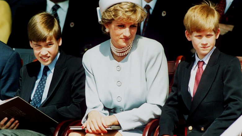 Princess Diana and her sons