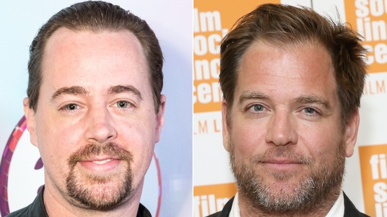 Sean Murray and Michael Weatherly split image