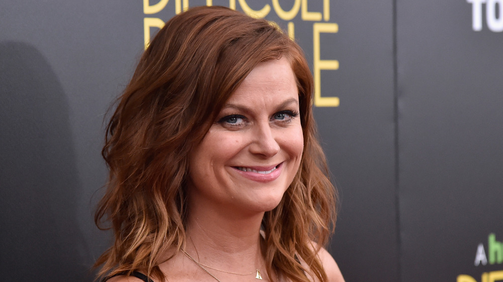 Amy Poehler flashing a smile