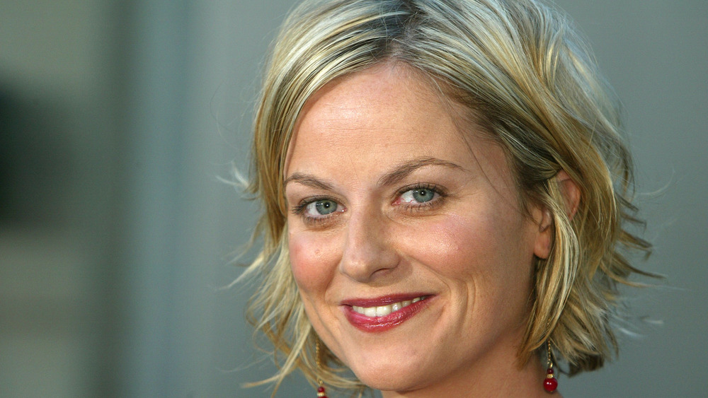 Amy Poehler smiling