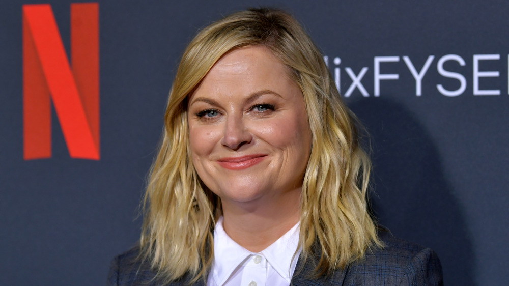 Amy Poehler smirking