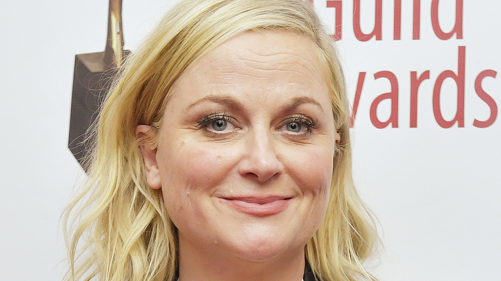 Amy Poehler looking at camera