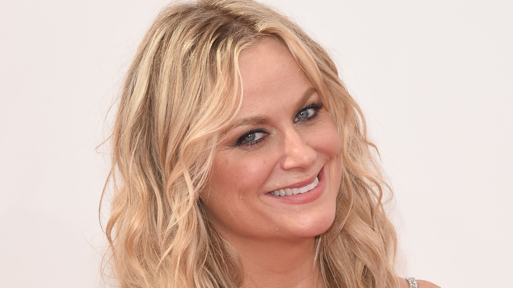 Amy Poehler smiling