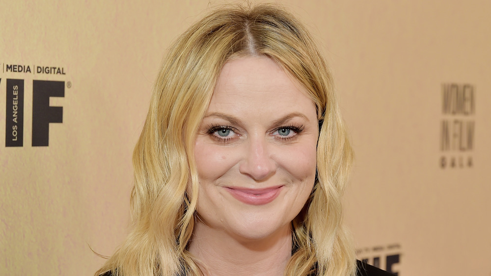 Amy Poehler looking at camera