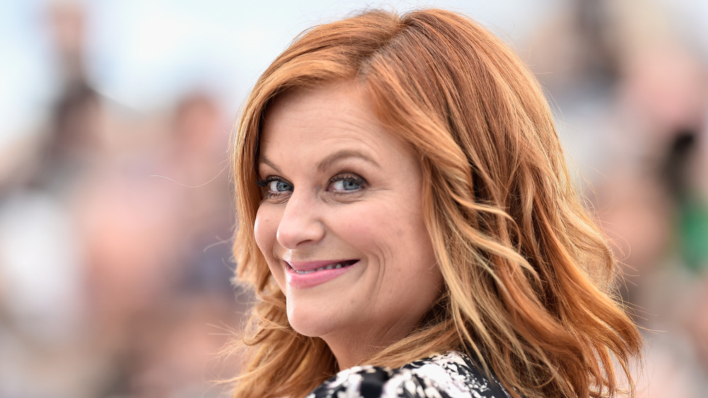 Amy Poehler with red hair