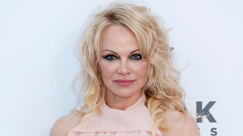 What Pamela Anderson And Tommy Lee's Son Brandon Thomas Lee Does For A ...