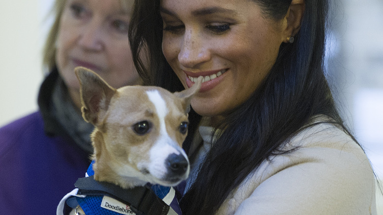 Meghan Markle smiling and holding dog