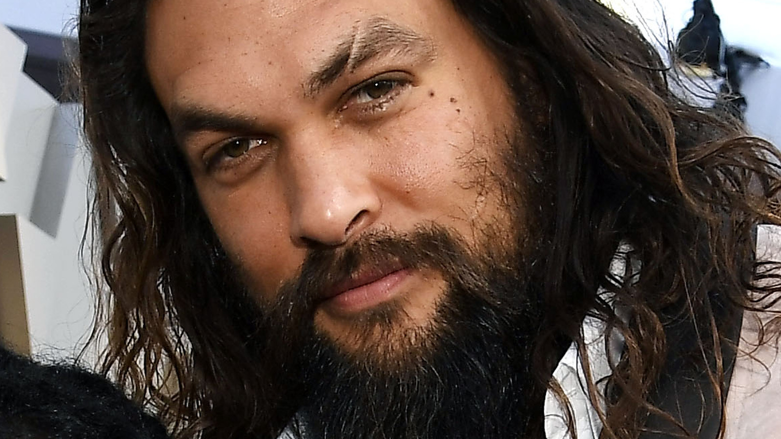 What Reportedly Contributed To Lisa Bonet And Jason Momoa's Split Doesn ...