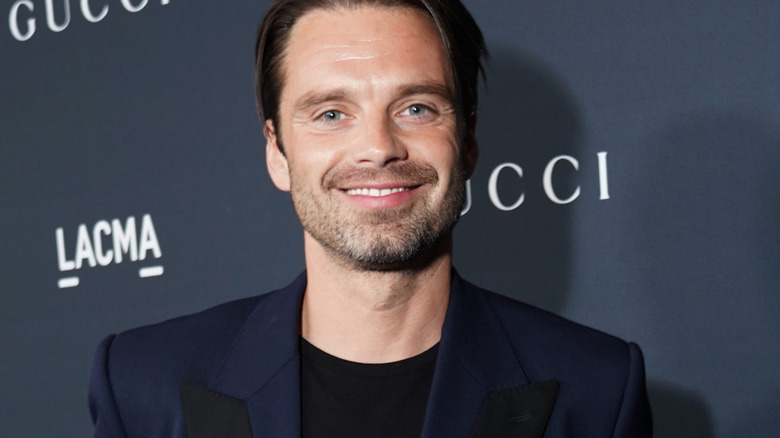What Sebastian Stan's Childhood Was Like Growing Up In Romania
