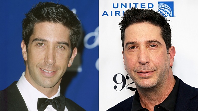 David Schwimmer smiling then and now