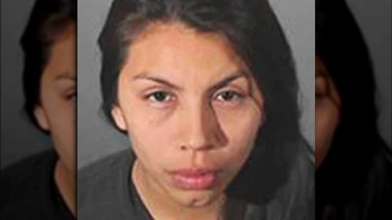 Diana Tamayo mugshot