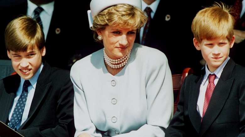 Young Prince William and Prince Harry with Princess Diana