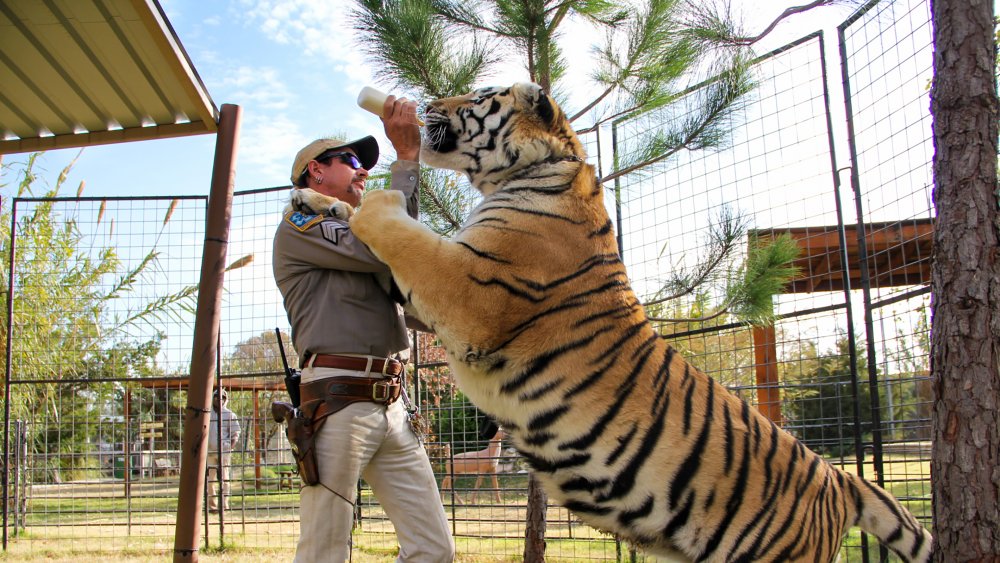 Joe Exotic and a tiger 