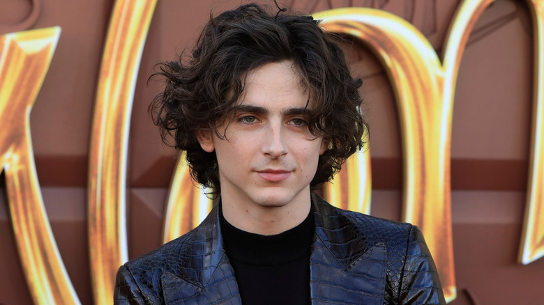 Timothee Chalamet posing