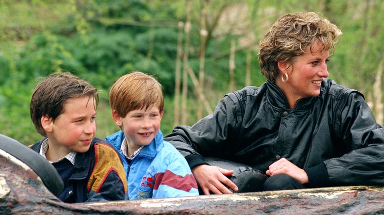 Princes William and Harry, Princess Diana, outside