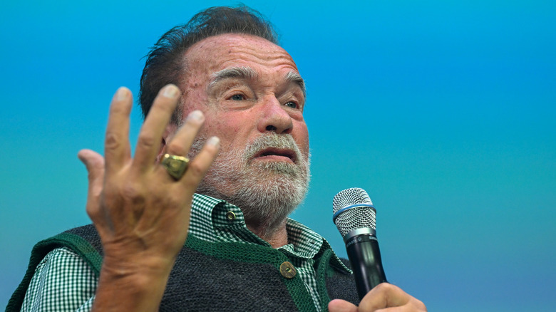 What We Know About Arnold Schwarzenegger's Political Views