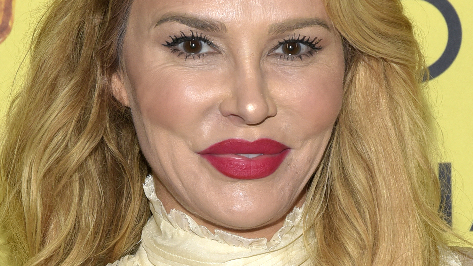 What We Know About Brandi Glanville S Time As A Model