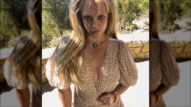 Britney Spears in brown dress