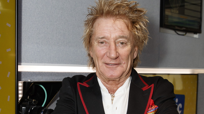 Rod Stewart smiling in close-up