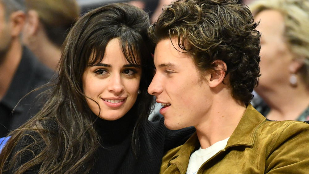 Camila Cabello and Shawn Mendes getting cozy on the sidelines