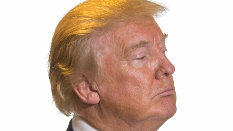 Donald Trump with orange mane in 2015