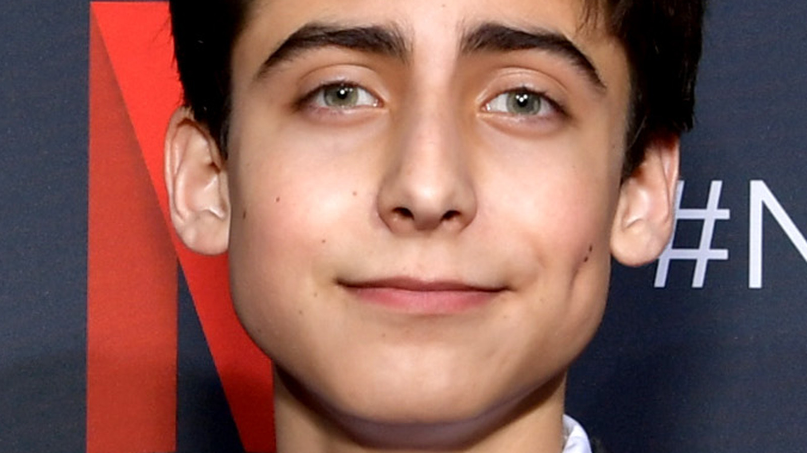 What You Don't Know About Aidan Gallagher