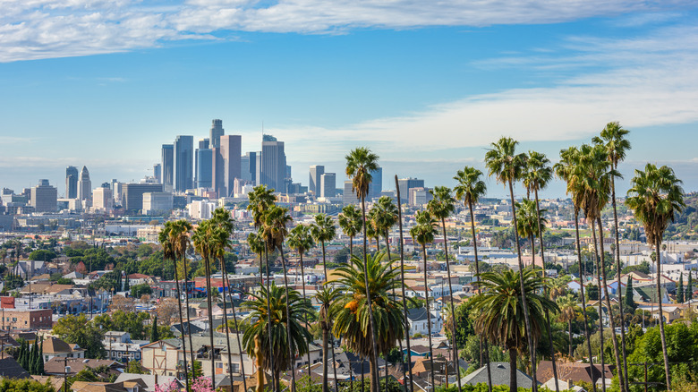 Los Angeles with palm trees