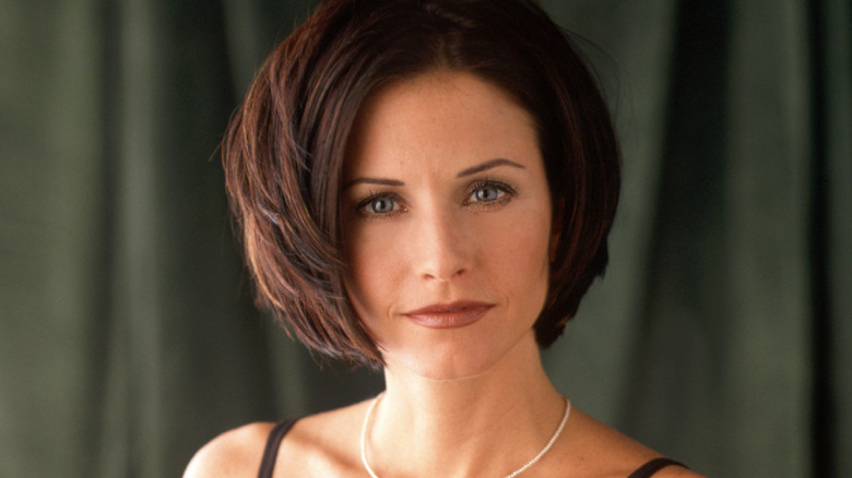 Courteney Cox as Monica Geller