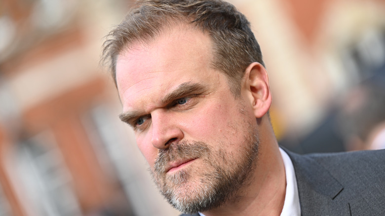 David Harbour on red carpet