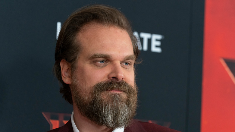 David Harbour on red carpet