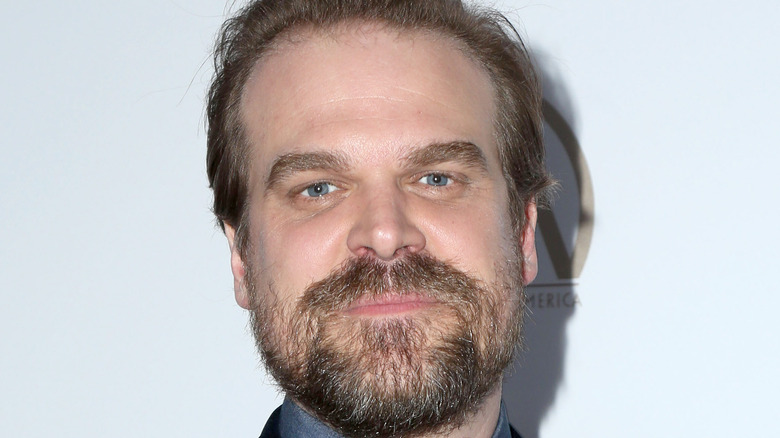 David Harbour on red carpet