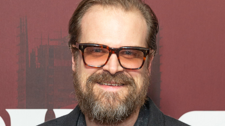 David Harbour on red carpet