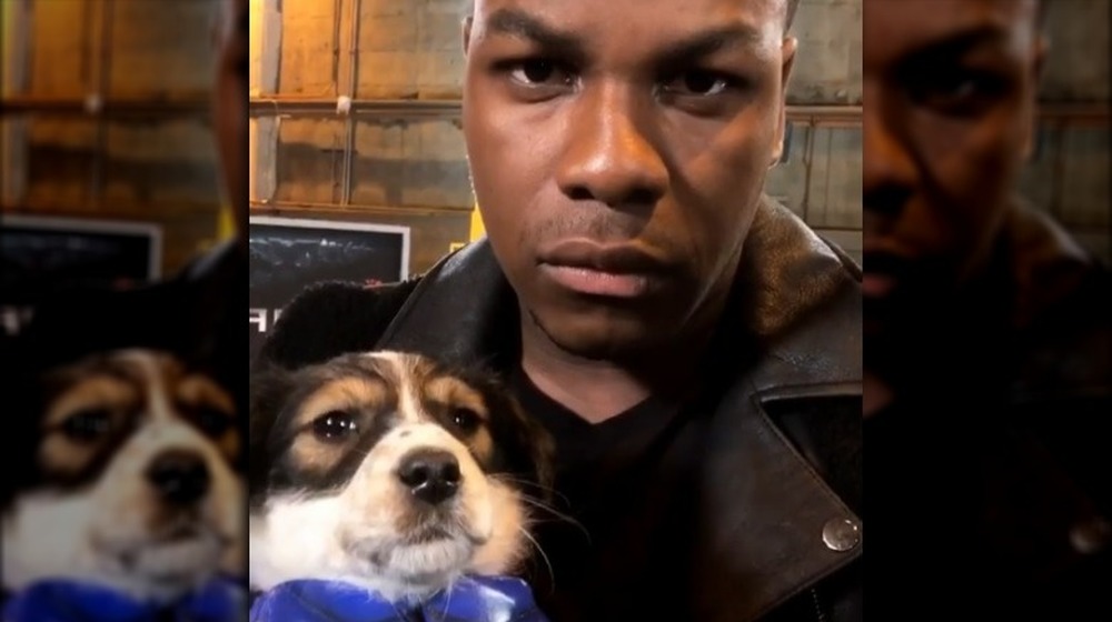 A dog and John Boyega