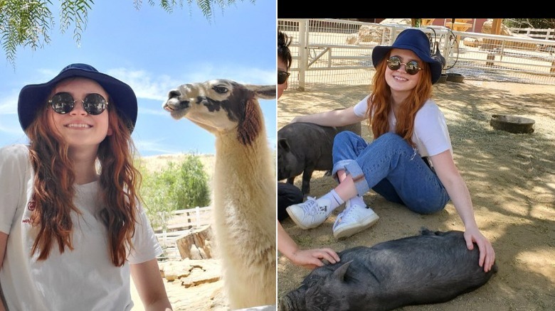 Sadie Sink and animals