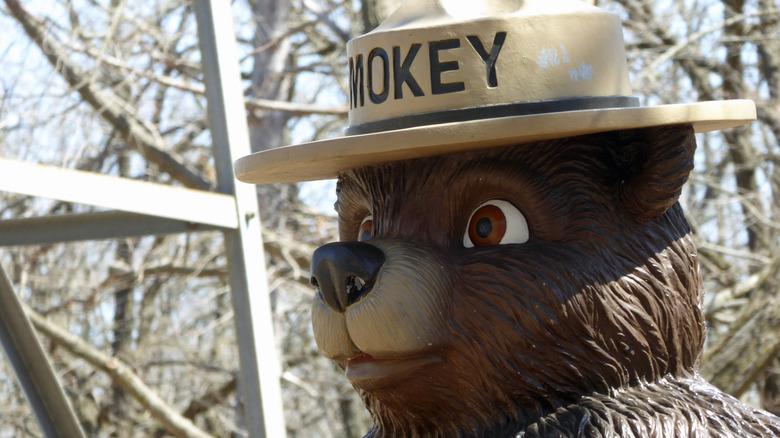 Smokey the Bear statue in woods