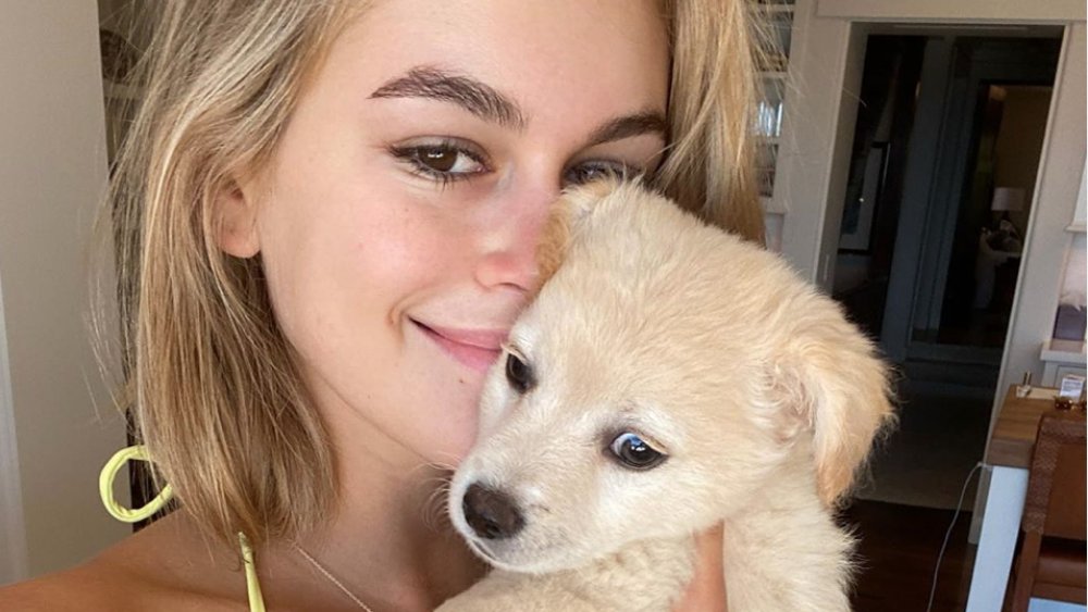 Kaia Gerber and her dog 