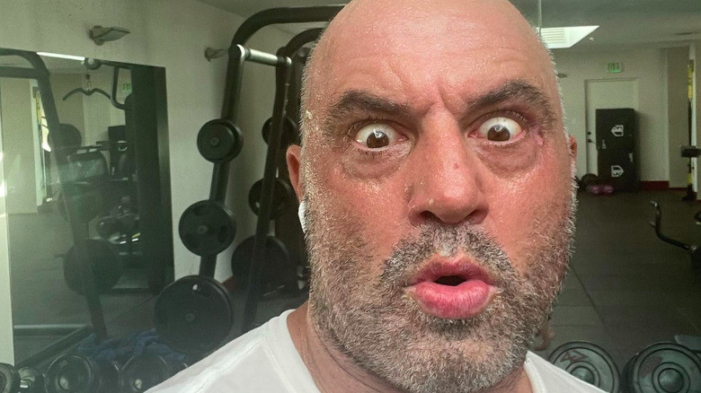 Joe Rogan sweating a lot