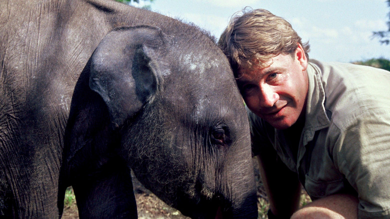 Steve Irwin with an elephant