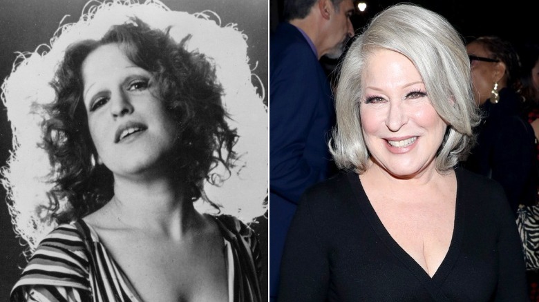 Young and old Bette Midler image split