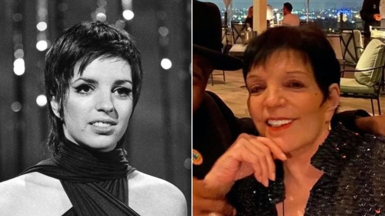 Young and old Liza Minnelli image split