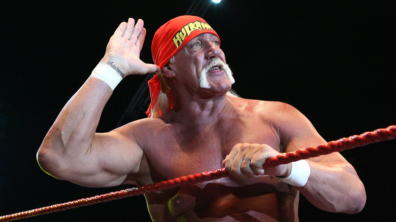 Hulk Hogan in the ring, posing