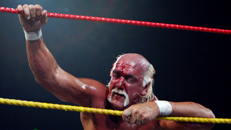 Hulk Hogan bloodiedin the ring