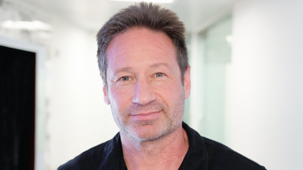 David Duchovny smiling at camera