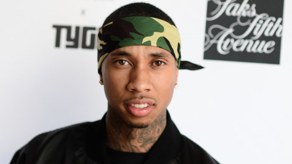 Whatever Happened To Tyga's Illegal Tiger Cub?