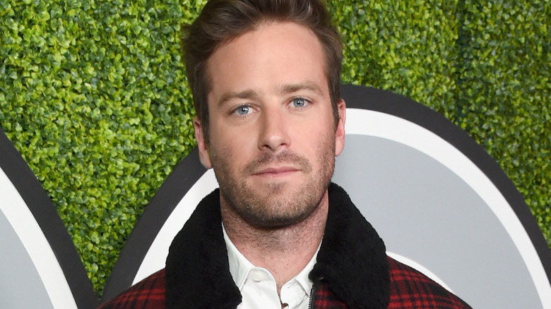 Armie Hammer posing